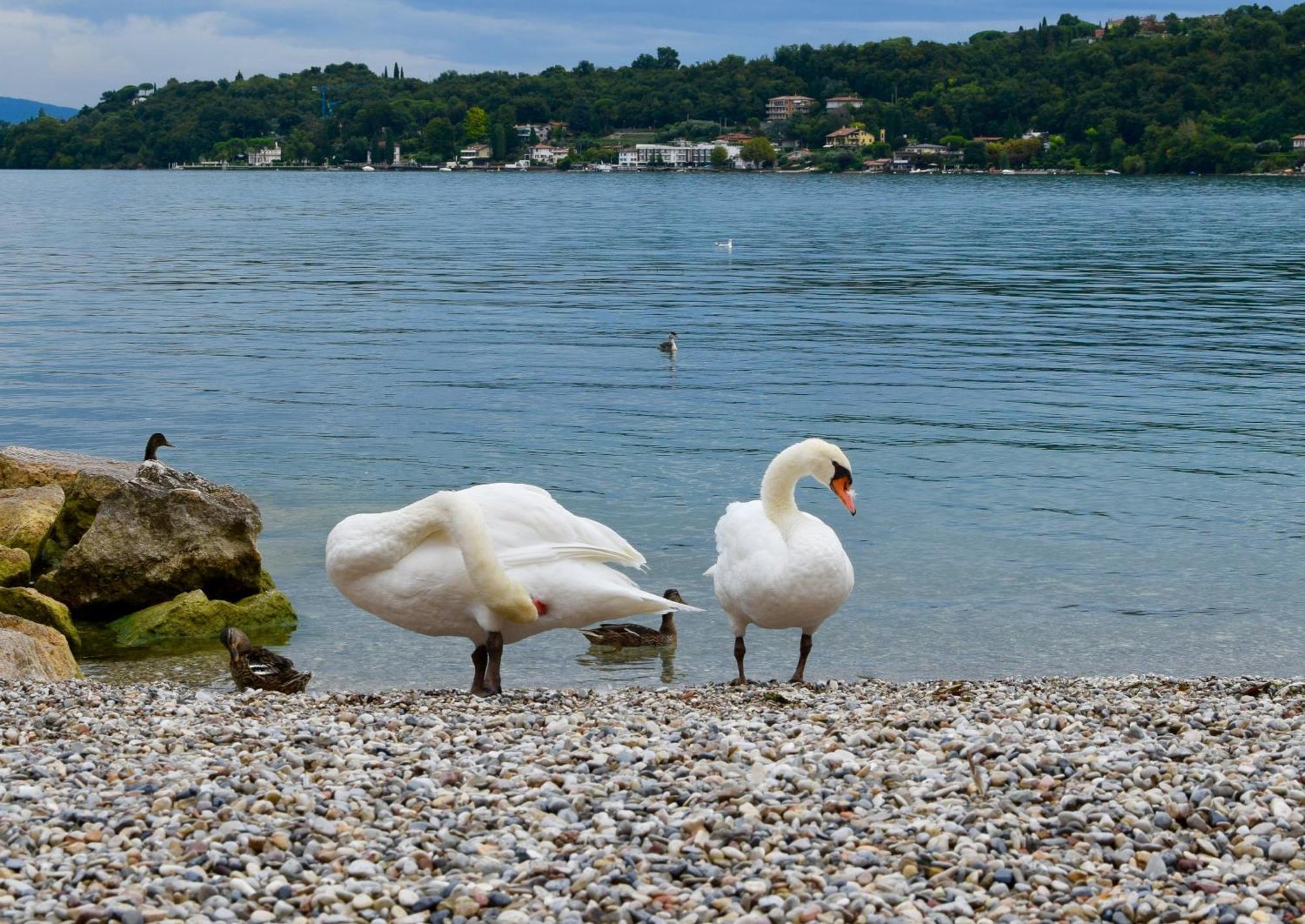 Villa Donne Del Lago Vittoria Salò Exteriér fotografie